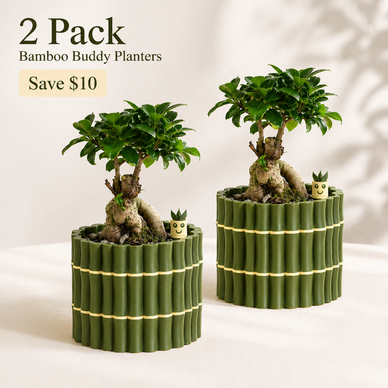🎍Bamboo Buddy Self-Watering Planter A cute little planter that helps your plant drink at its own pace.🎍