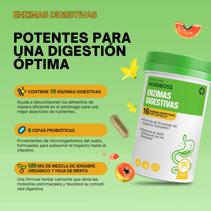 Paquete Hack your Tummy de Windboss: apoyo para digestión y bienestar general, con enzimas digestivas y probiótico de 60 mil millones