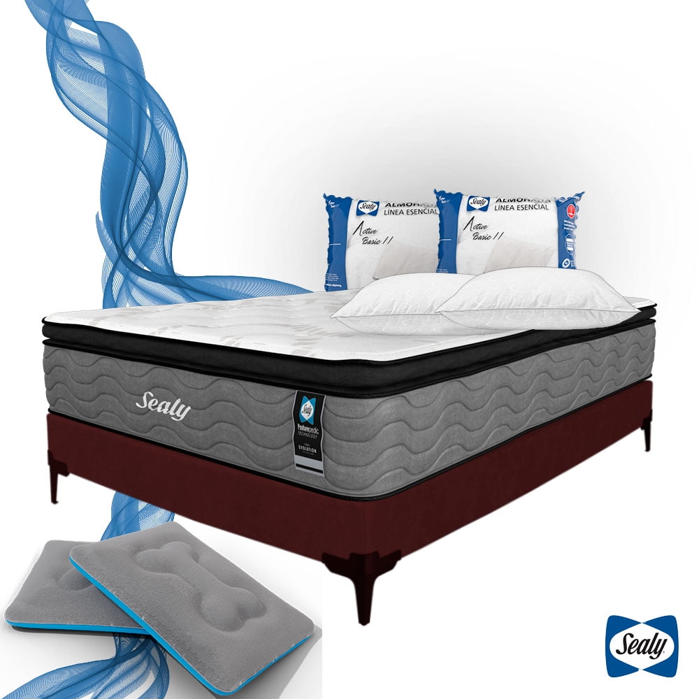 Colchón Queen Size  Anti-Microdespertares+ Box Queen Size + Camita para Mascota + 2 Almohadas Sealy. Sealy Ortopédico Benno