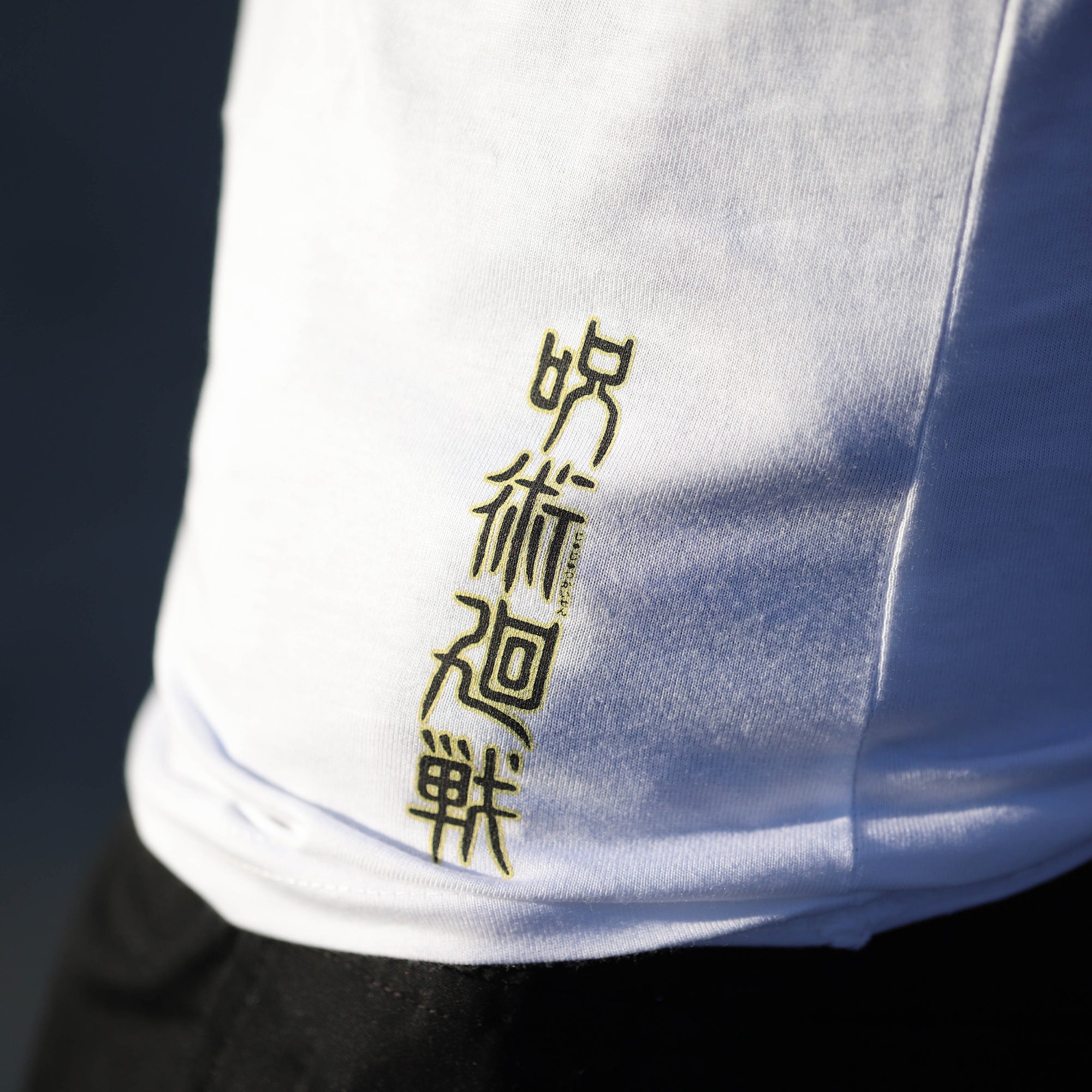 Jujutsu Kaisen Sukuna King of Curses Raglan T-Shirt-MOSSCIU