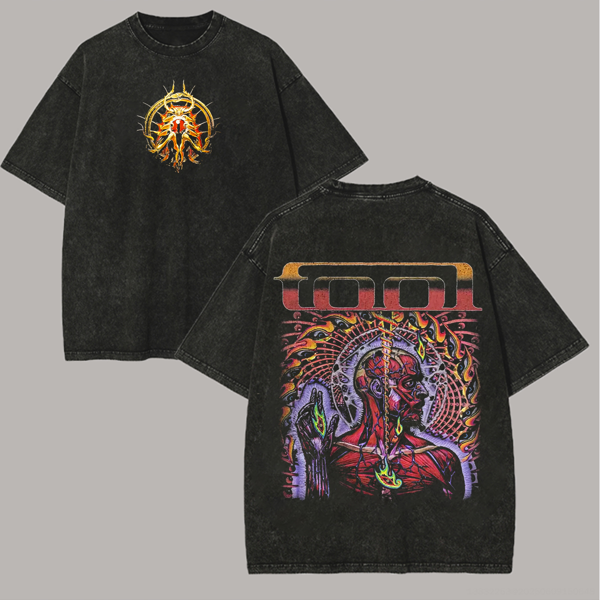 Vintage Washed  "Fiery Anatomy" Band Tee