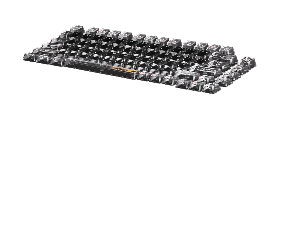 ROG SLASH Luggage & AZOTH Extreme 24K Gold Plated Keyboard