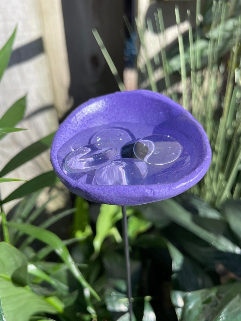 🔥Handmade Bee Watering Station, Butterfly Puddler, Hummingbird Drinking Cups 