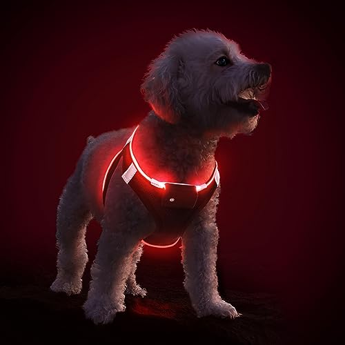 LED Light Up Dog Harness - USB Rechargeable, 3 Modes, Reflective, Breathable Mesh Safety Vest for Night Walks, Small Medium Dogs & Cats