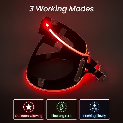 LED Light Up Dog Harness - USB Rechargeable, 3 Modes, Reflective, Breathable Mesh Safety Vest for Night Walks, Small Medium Dogs & Cats