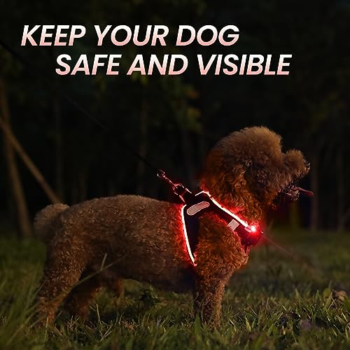 LED Light Up Dog Harness - USB Rechargeable, 3 Modes, Reflective, Breathable Mesh Safety Vest for Night Walks, Small Medium Dogs & Cats