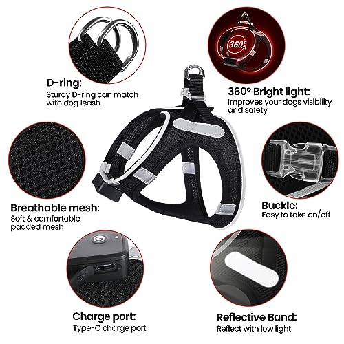 LED Light Up Dog Harness - USB Rechargeable, 3 Modes, Reflective, Breathable Mesh Safety Vest for Night Walks, Small Medium Dogs & Cats