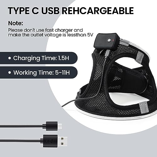 LED Light Up Dog Harness - USB Rechargeable, 3 Modes, Reflective, Breathable Mesh Safety Vest for Night Walks, Small Medium Dogs & Cats