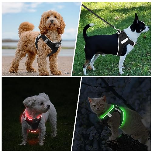 LED Light Up Dog Harness - USB Rechargeable, 3 Modes, Reflective, Breathable Mesh Safety Vest for Night Walks, Small Medium Dogs & Cats