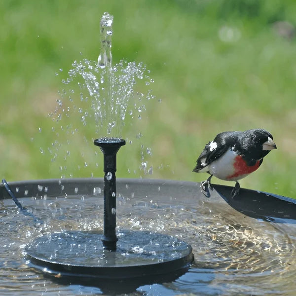 🌞New arrival 40% OFF!⛲Compact Solar Bird Fountain Pump – Keep Your Garden Alive!🏖️