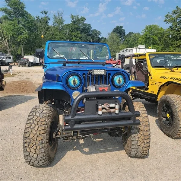Wrangler Beast Eye Headlight Decal (Pair)
