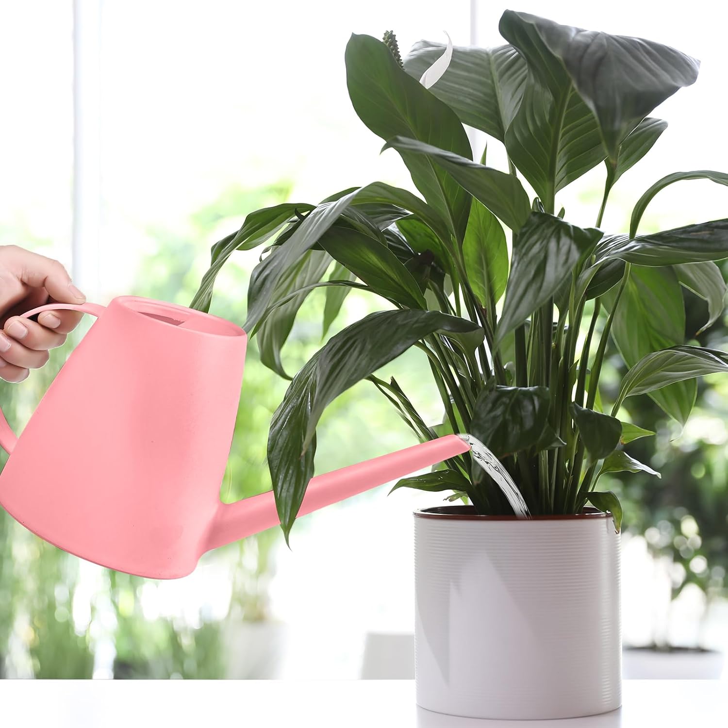 Plant Watering Can