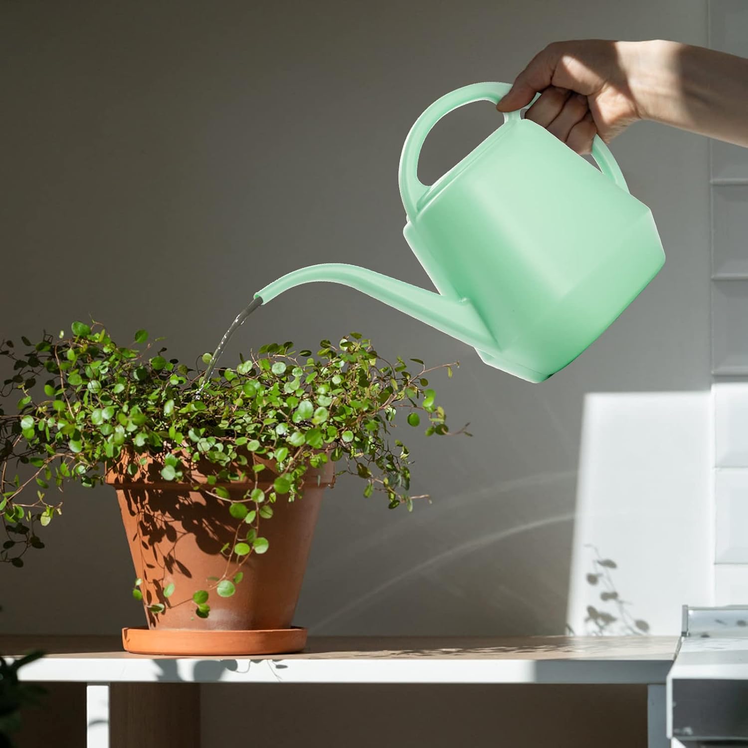 Plastic Watering Can