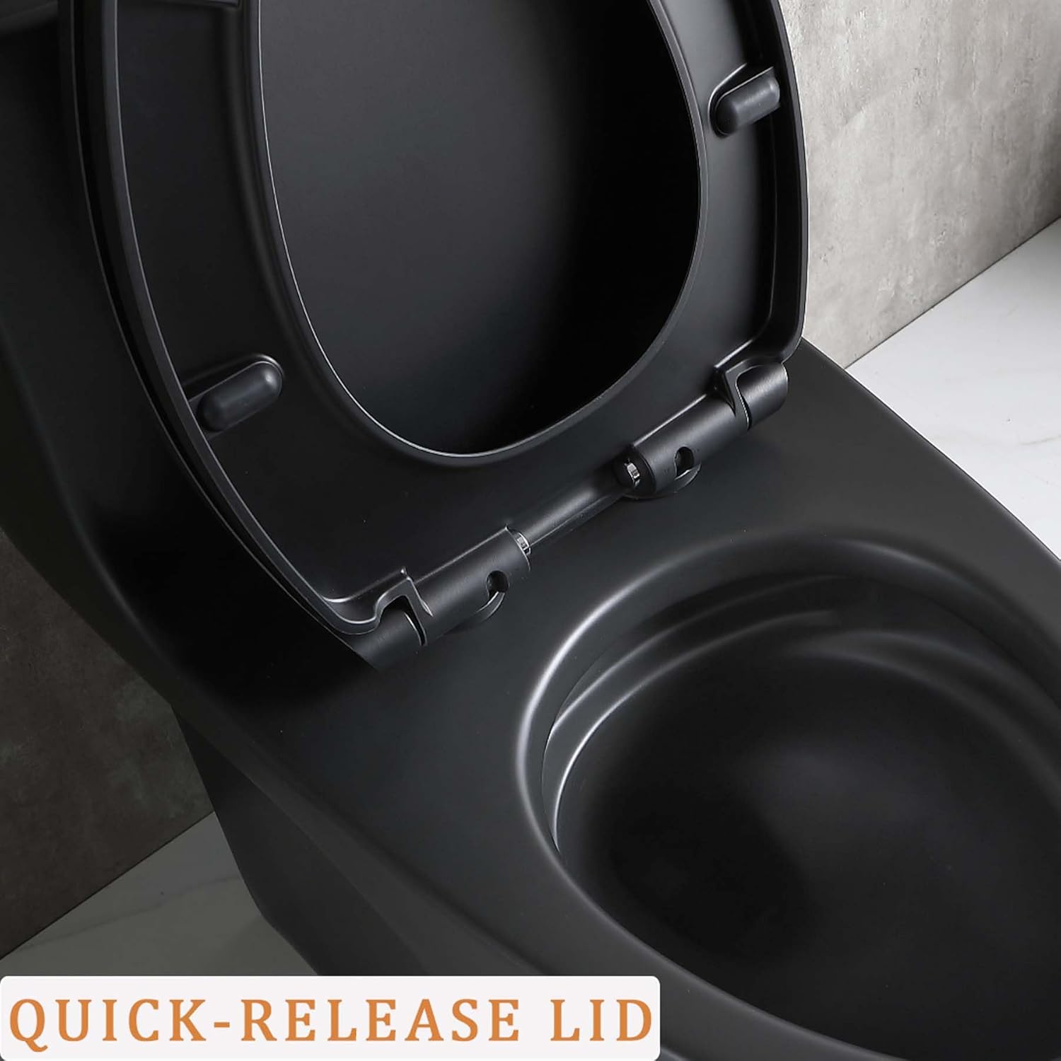 Dual Flush Toilets for Bathrooms