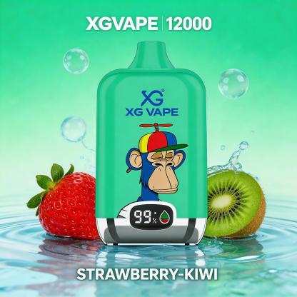 XG VAPE Bar 12000 Puffs Disposable Vape