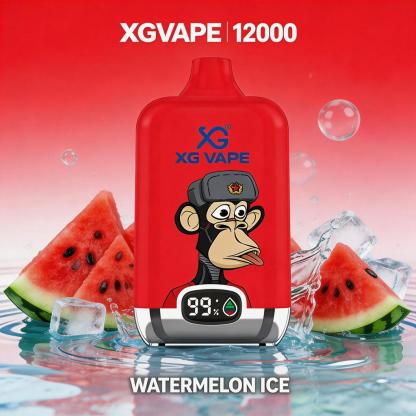 XG VAPE Bar 12000 Puffs Disposable Vape