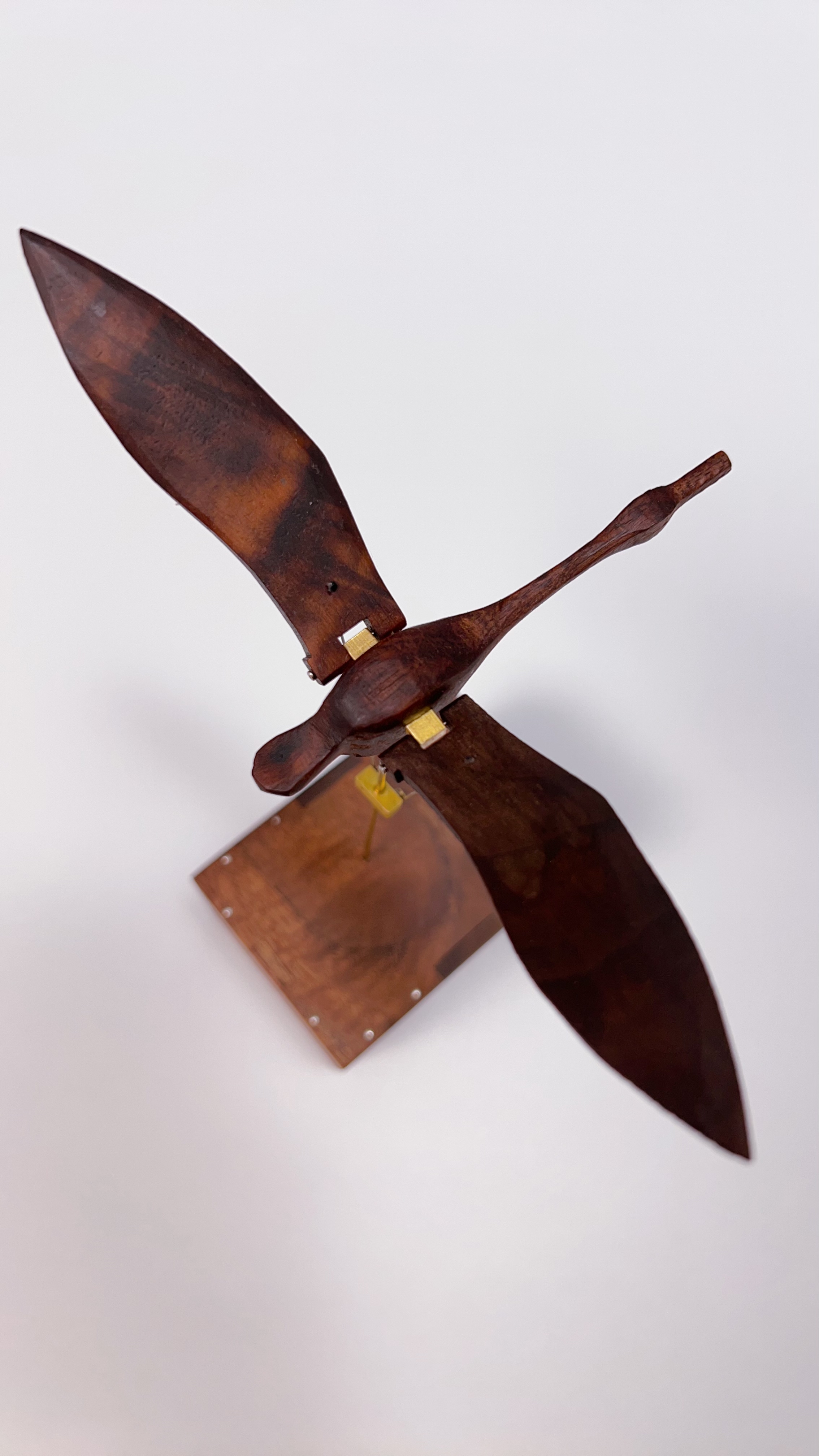 Handcrafted Walnut Swan Automaton
