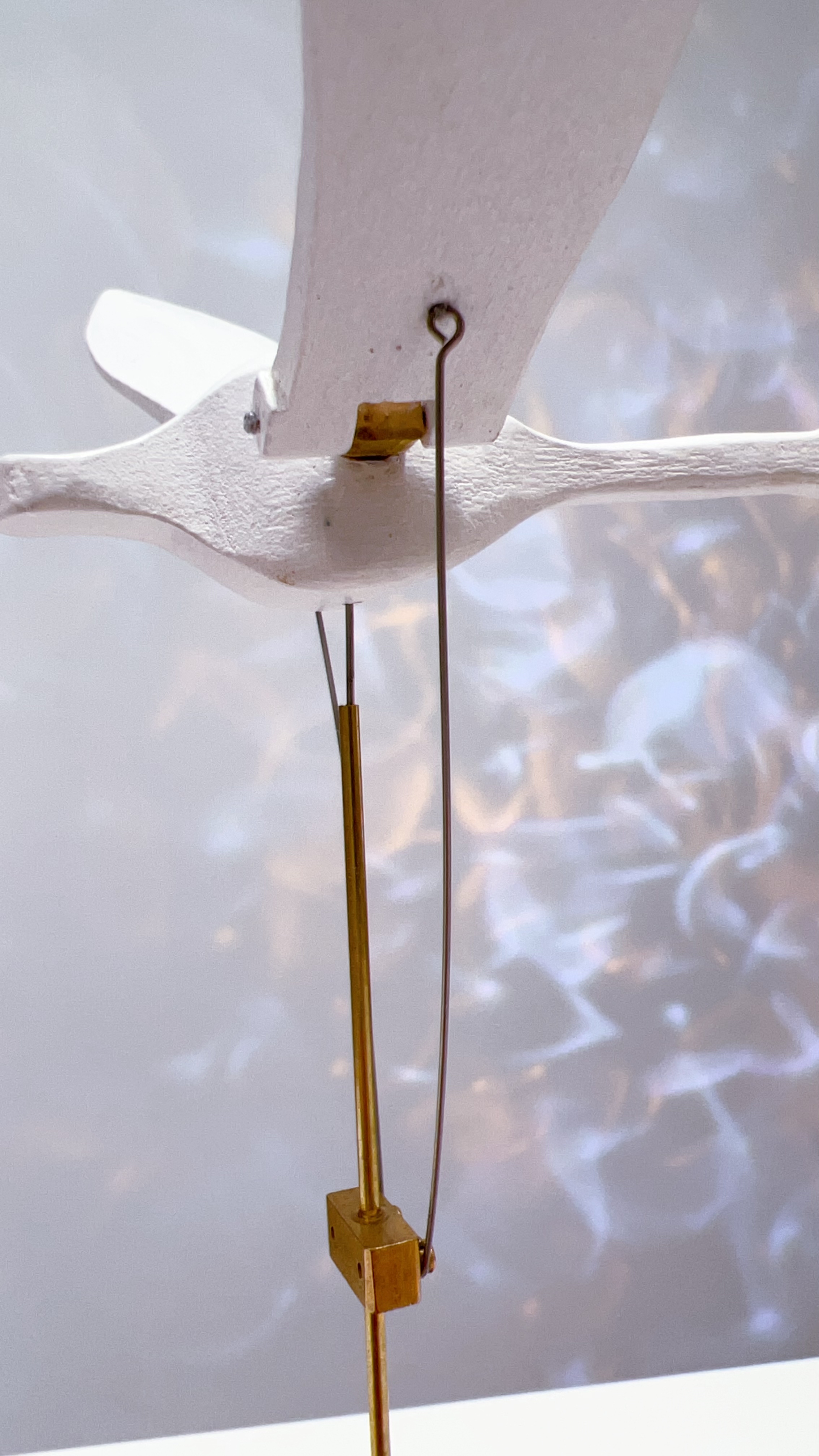 Handcrafted White Walnut Swan Automaton