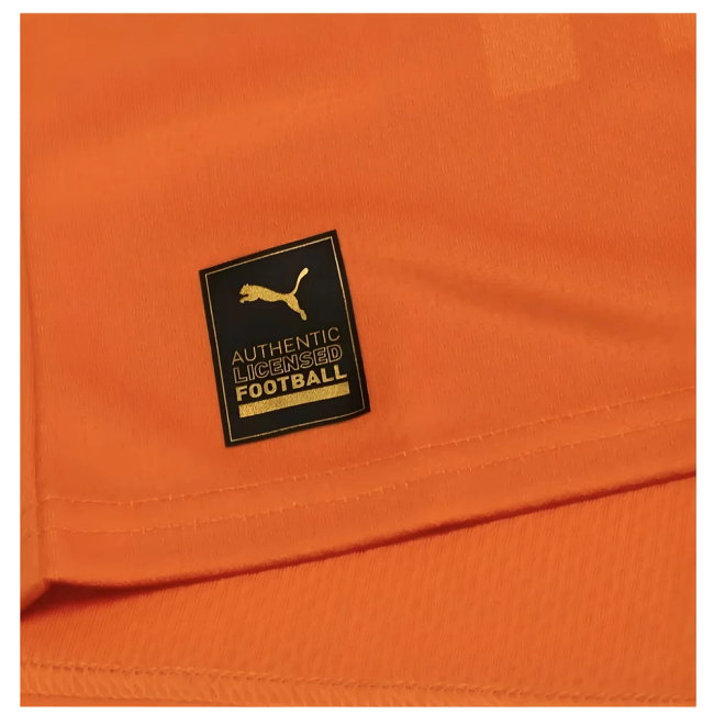 2023 Ivory Coast Home AFCON Winner Shirt (Drogba 11)-SoccerKits Hub | Buy Soccer Jerseys Online