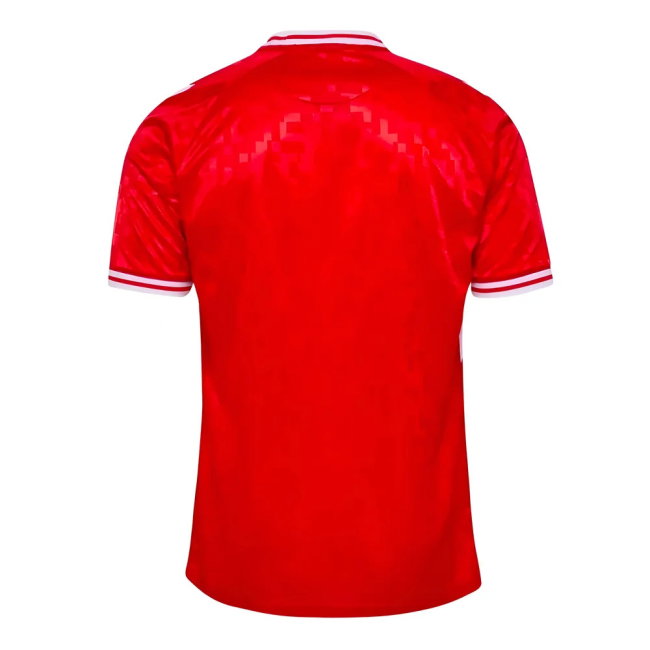 2024-2025 Denmark Home Shirt (Dolberg 12)-SoccerKits Hub | Buy Soccer Jerseys Online