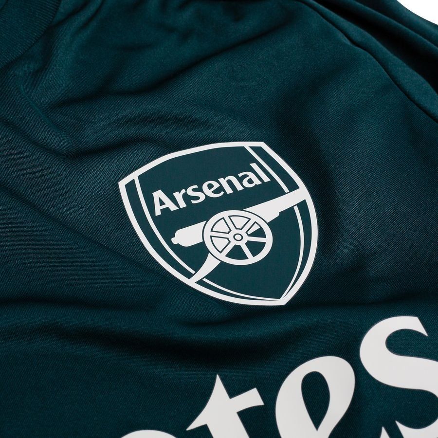 Arsenal Training T-Shirt Tiro 25 - Aurora Ivy - Men's-SoccerKits Hub | Buy Soccer Jerseys Online