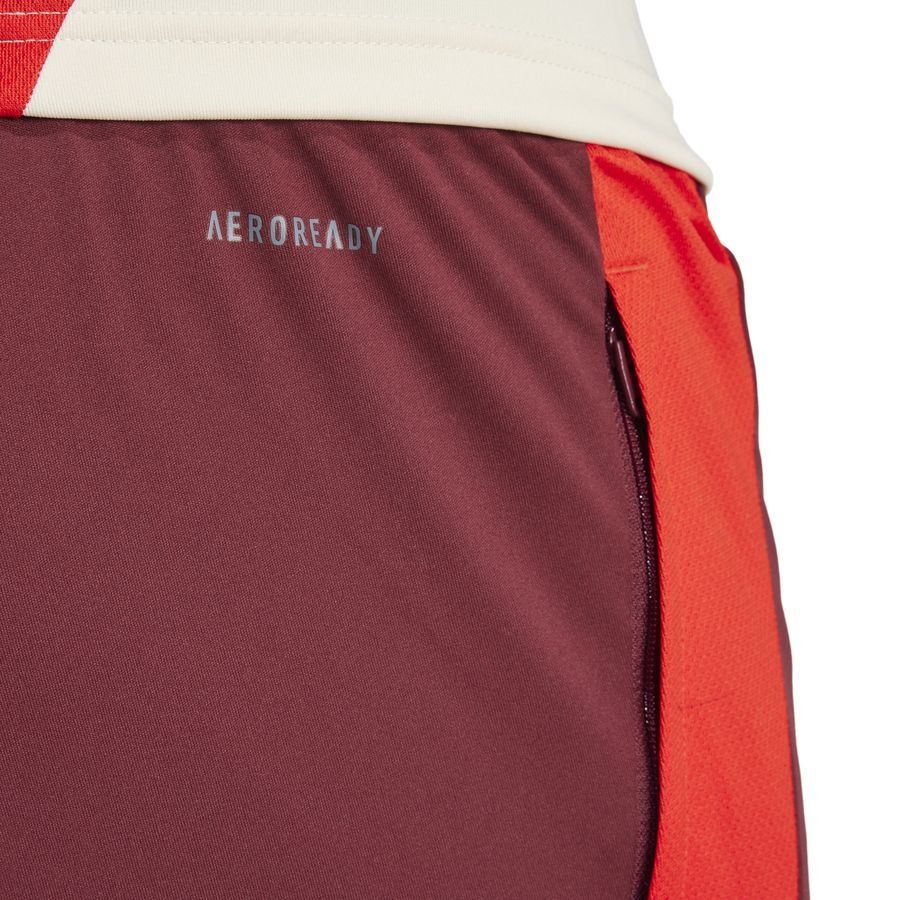 Bayern München Training Trousers Tiro 24 EU - Shadow Red/Red - Men's-SoccerKits Hub | Buy Soccer Jerseys Online