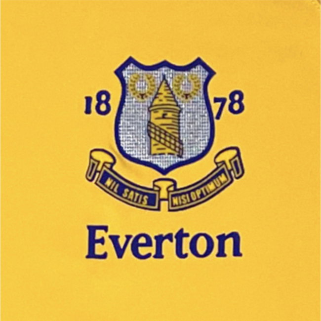 Everton 2003 Anniversary Retro Away Shirt (Gravesen 16)-SoccerKits Hub | Buy Soccer Jerseys Online