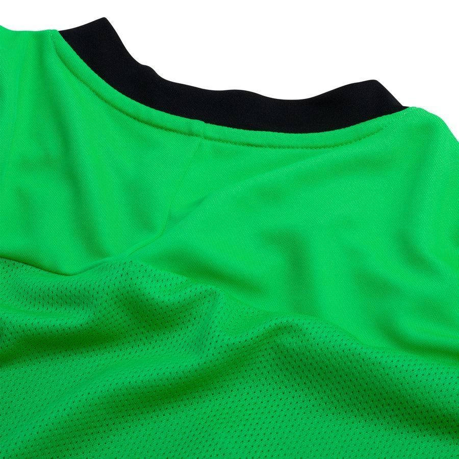 NFF DOMMER Nike Training T-Shirt Dri-FIT Academy 25 - Green Spark/Black/White - Men's-SoccerKits Hub | Buy Soccer Jerseys Online