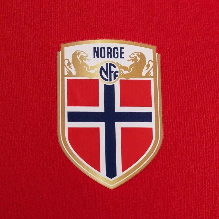 Norway Nike Training T-Shirt - Red Kids-SoccerKits Hub | Buy Soccer Jerseys Online