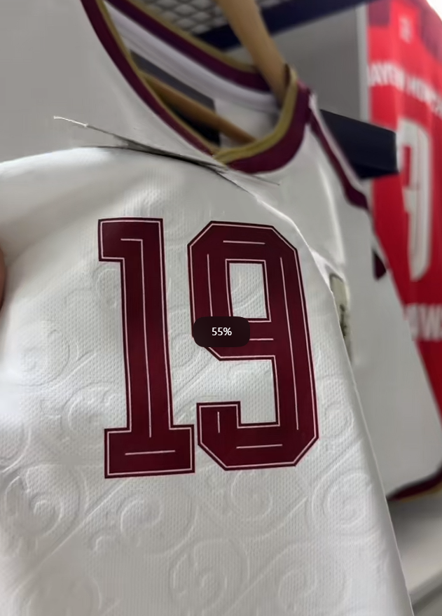 Spain World Cup Jersey Fan Photo