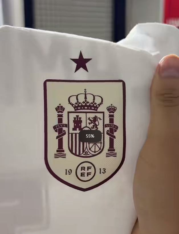Spain World Cup Jersey Fan Photo 3