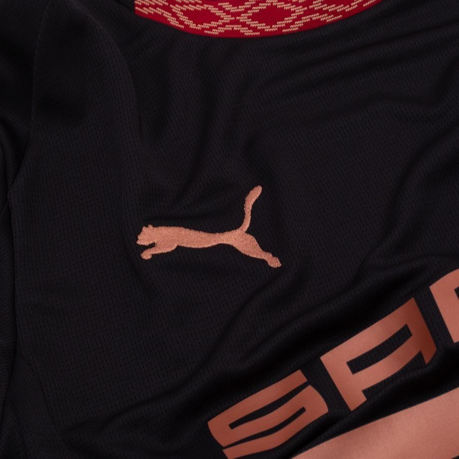 Stade Rennais 3rd Shirt 2025/26 - Men's-SoccerKits Hub | Buy Soccer Jerseys Online