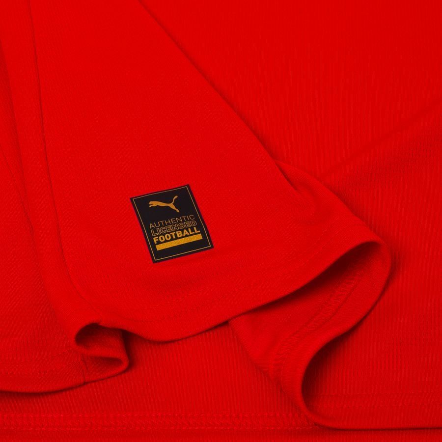 Stade Rennais Home Shirt 2025/26 - Men's-SoccerKits Hub | Buy Soccer Jerseys Online