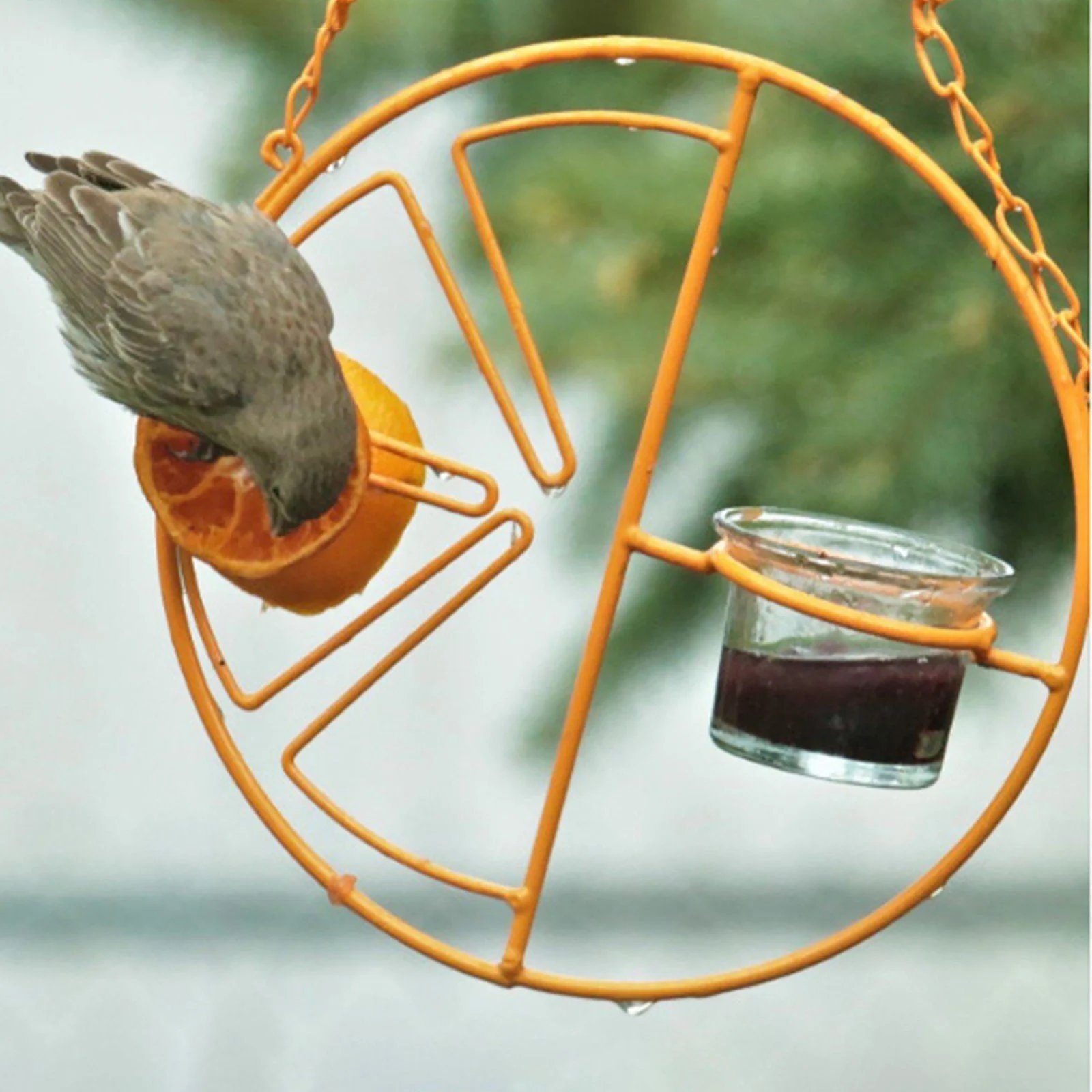 🔥2-in-1 Futterspender für Kolibris und Pirole zum Aufhängen