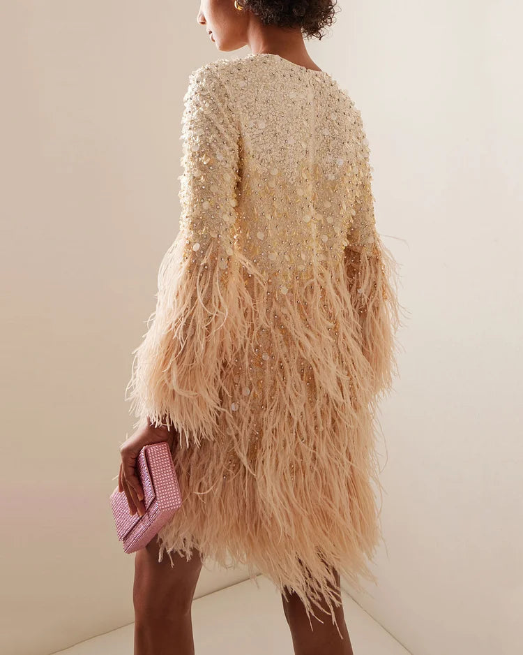 Champagne Feather Sequin Beaded Long Sleeve Mini Party Dress | Homecoming Dress HC043