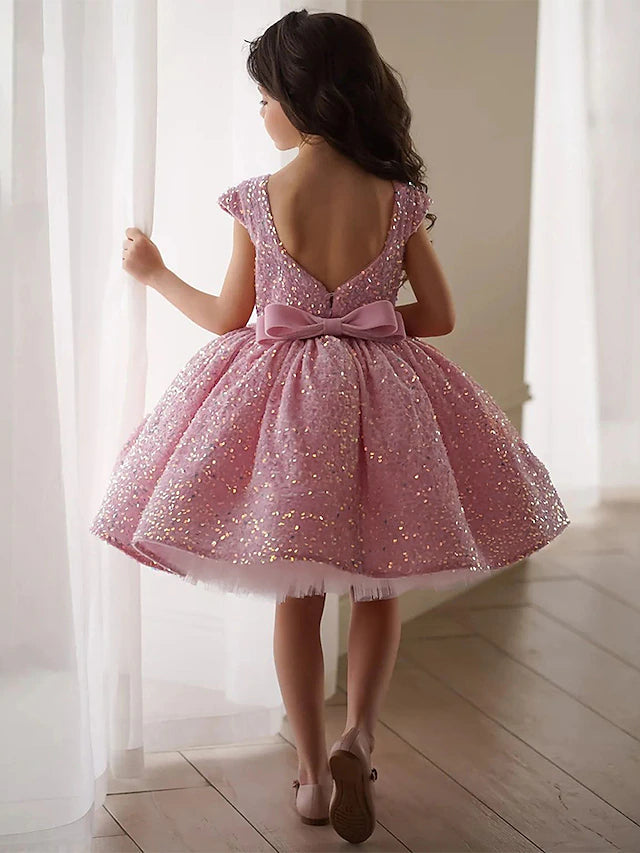 A-Line/Princess Sequins Flower Girl Dresses with Bowknot Dusty Rose
