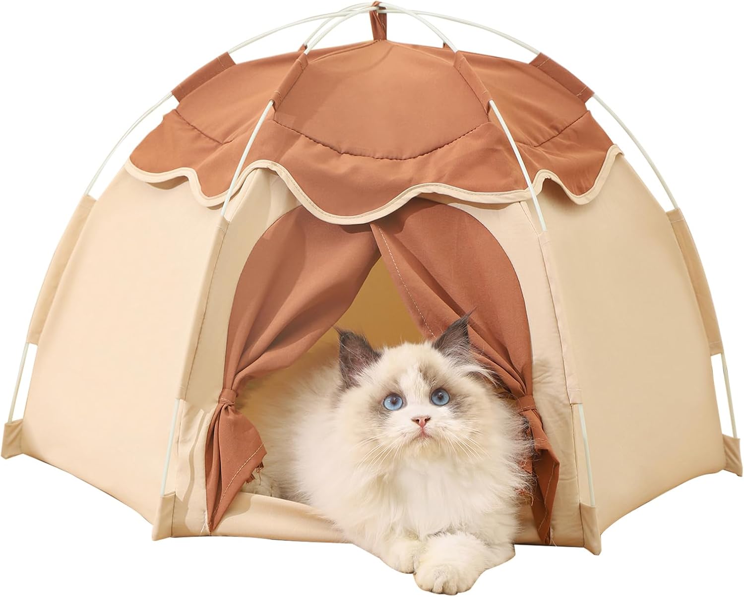 Cat Tent for Indoor, Indoor Dog House
