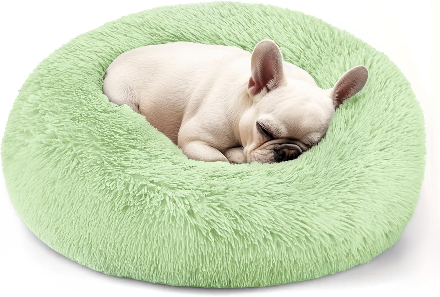 Dog & Cat Bed for Indoor Cats