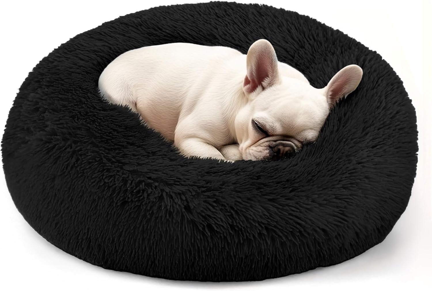 Dog & Cat Bed for Indoor Cats