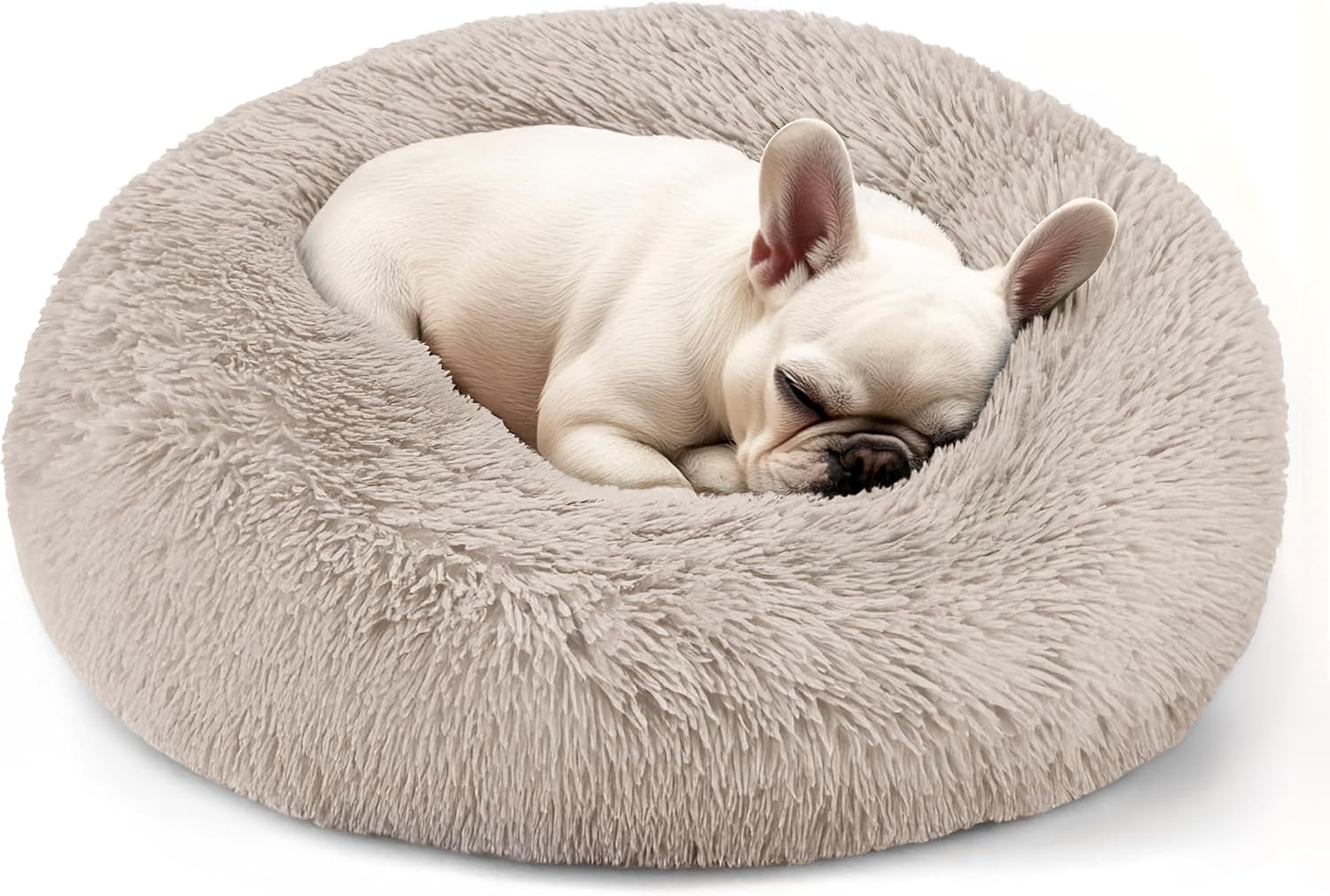 Dog & Cat Bed for Indoor Cats