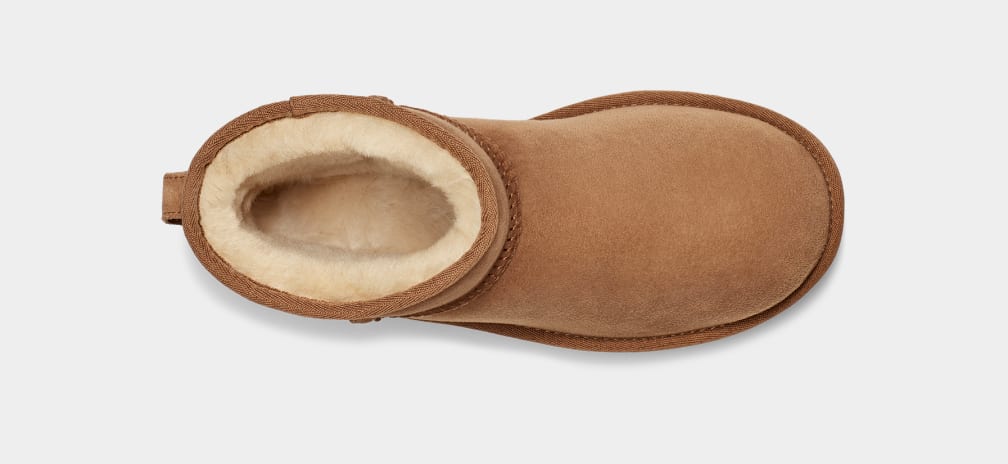 Women's Classic Mini II Boot - WOMEN's