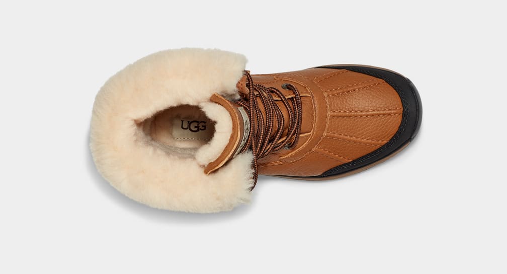 Adirondack III Boot - WOMEN's