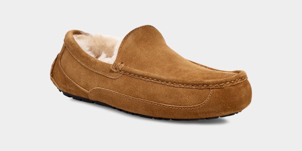 Ascot Slipper - MEN��s