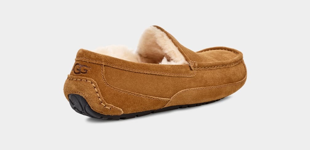 Ascot Slipper - MEN��s