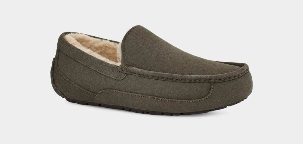 Ascot Slipper - MEN��s