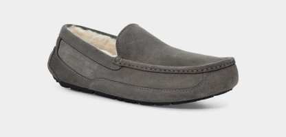 Ascot Slipper - MEN��s