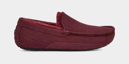 Ascot Slipper - MEN��s