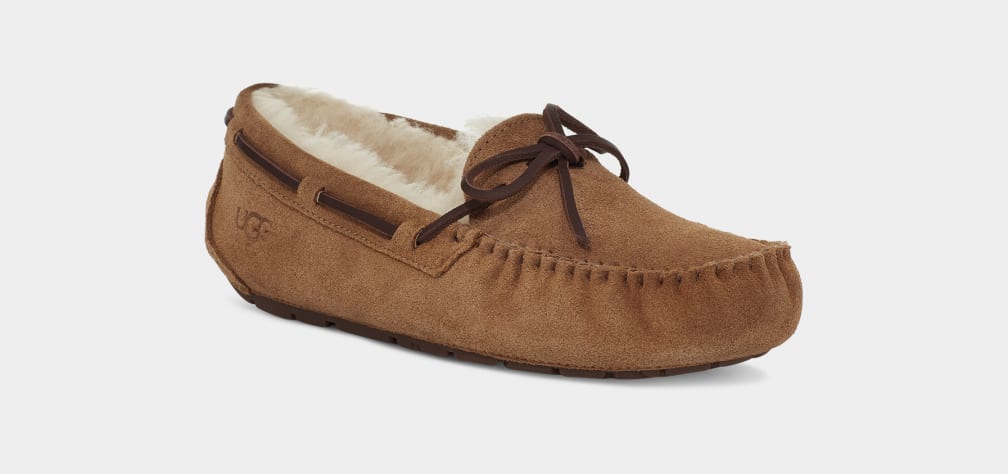 Dakota - WOMEN's