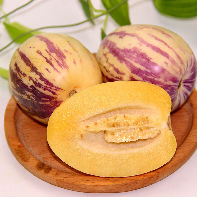 🎁 50% ZNIŻKI 🍐🍐 Nasiona Pepino (Gruszkomorela)