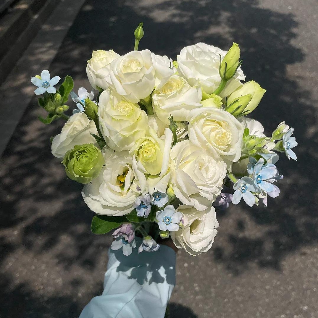 🌸 Eustoma — vylepšená růže